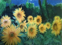 /album/fleurs/a11tournesols-jpg/