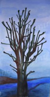 /album/arbres/arbre5-jpg/