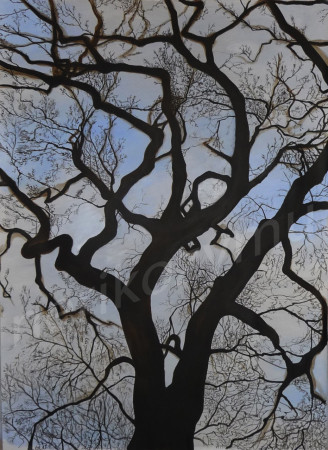 Arbre3.jpg